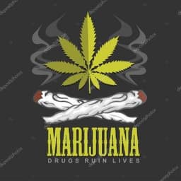 _SSSaTiVa_