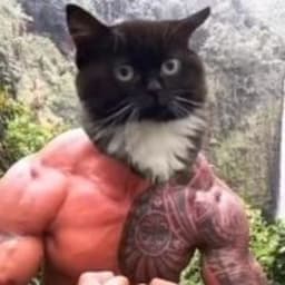 YcaTbIu_KoT