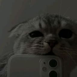 _AyBo_