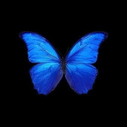 BlueTan