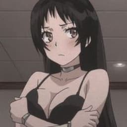 flapi242