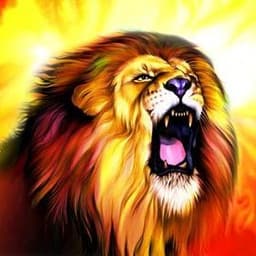 SunnY_Lionn