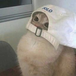 BOYCOV999