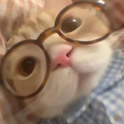 meowmeowmeow