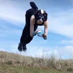 FLYASSS_YT