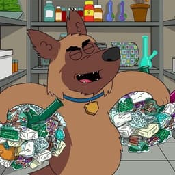 Bart3kPro
