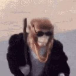 SaltyHaddock