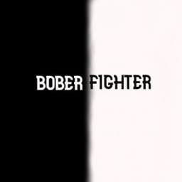 BoberFighter
