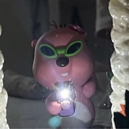 eylyl