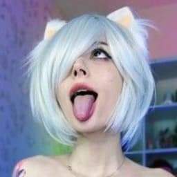 WebPunk77