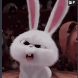 Lokodoko