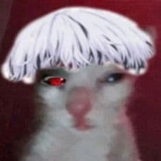 L1X12