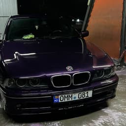 M5NTALY