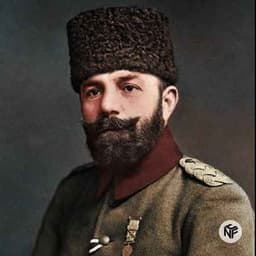 SolfinN