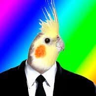 g0nci