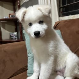 gxxxx-