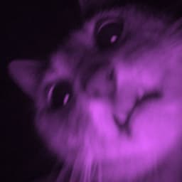 -eyc