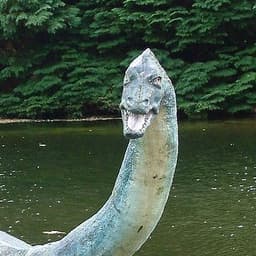 mikleden