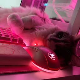 Coozym