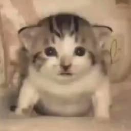 AlexMan01