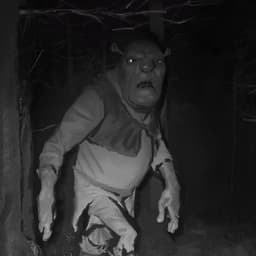 sQuasimodo