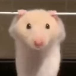 _Achee_E