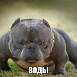 QQRuzaae