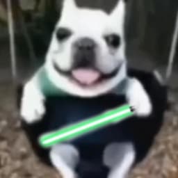 HaiZi-