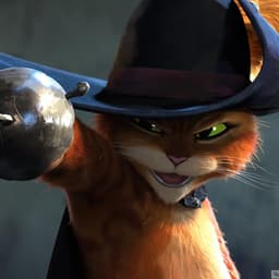 CaT_202